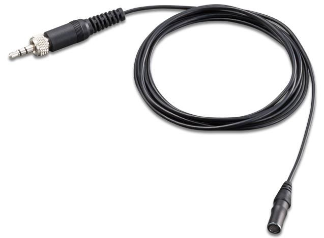 2 lavalier microphones