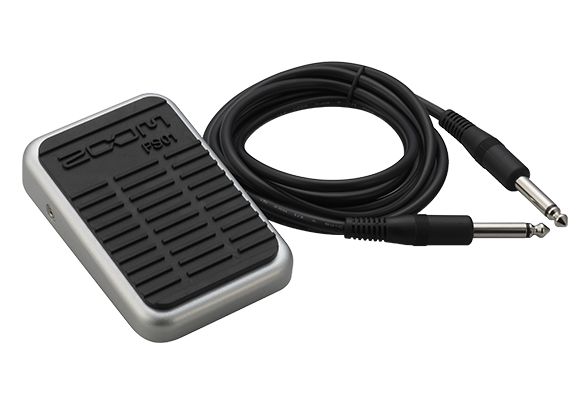 FS01 Momentary Foot Switch | Zoom