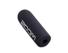 SGH-6 Shotgun Microphone Capsule | Zoom